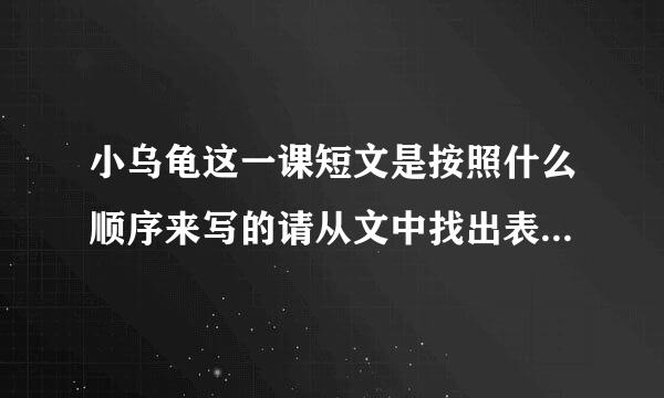 小乌龟这一课短文是按照什么顺序来写的请从文中找出表示这一顺序的相关语句写？