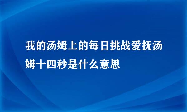 我的汤姆上的每日挑战爱抚汤姆十四秒是什么意思