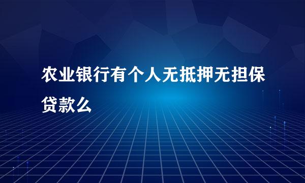 农业银行有个人无抵押无担保贷款么