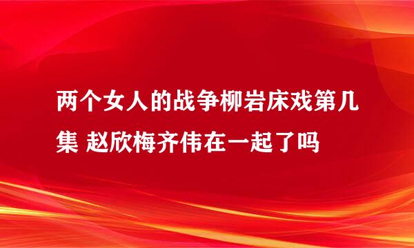 两个女人的战争柳岩床戏第几集 赵欣梅齐伟在一起了吗