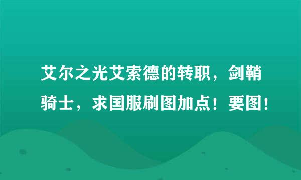 艾尔之光艾索德的转职，剑鞘骑士，求国服刷图加点！要图！