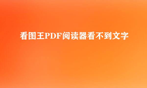 看图王PDF阅读器看不到文字