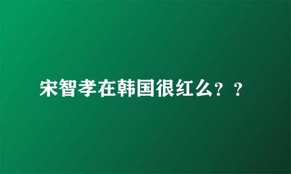 宋智孝在韩国很红么？？