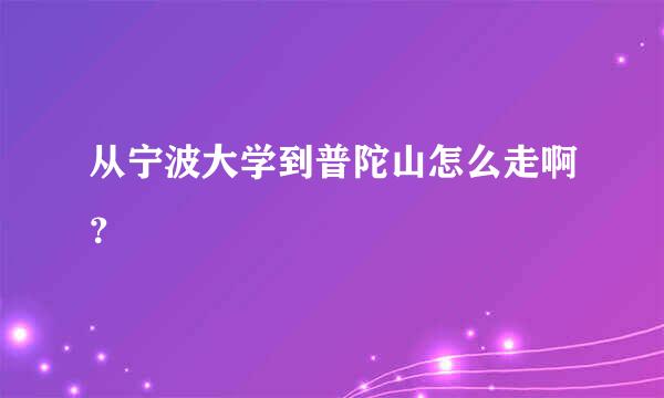 从宁波大学到普陀山怎么走啊？