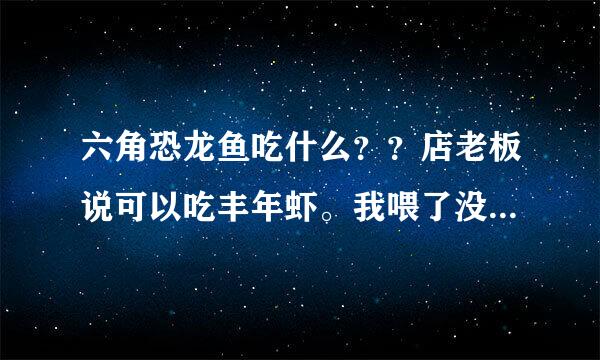 六角恐龙鱼吃什么？？店老板说可以吃丰年虾。我喂了没见过它吃