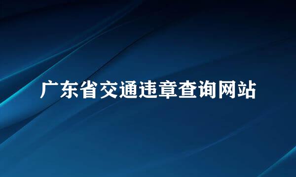 广东省交通违章查询网站