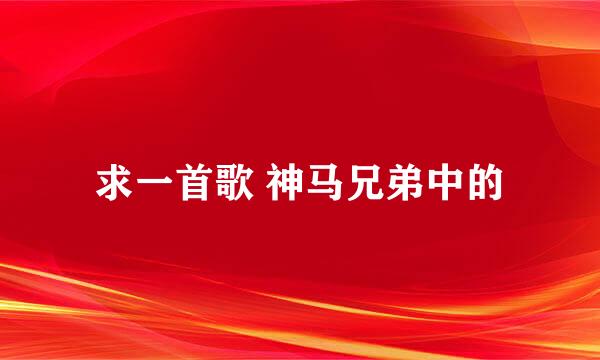 求一首歌 神马兄弟中的