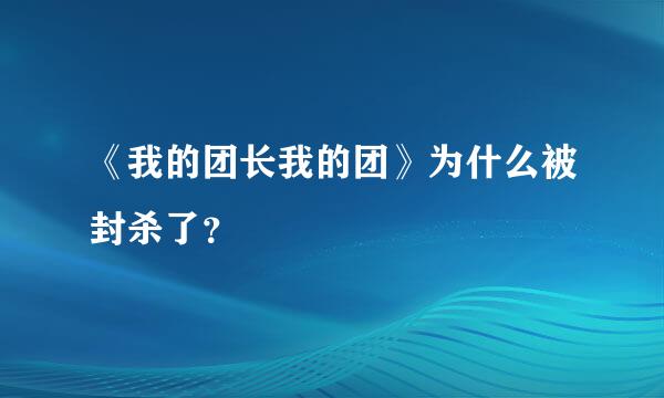 《我的团长我的团》为什么被封杀了？