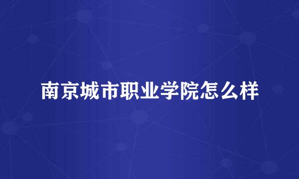 南京城市职业学院怎么样