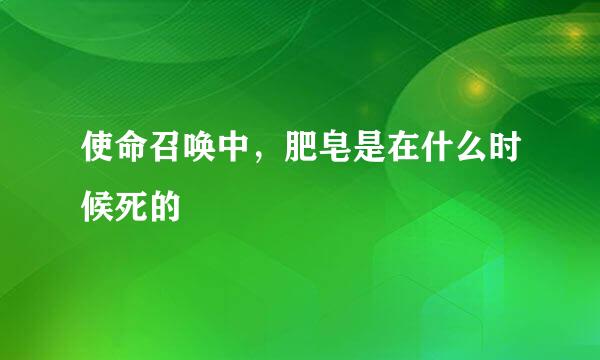 使命召唤中，肥皂是在什么时候死的