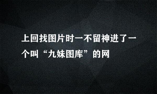 上回找图片时一不留神进了一个叫“九妹图库”的网