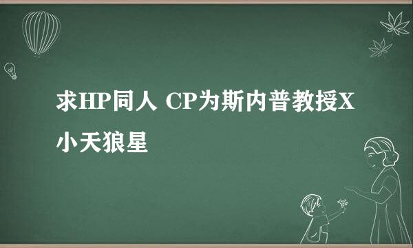 求HP同人 CP为斯内普教授X小天狼星