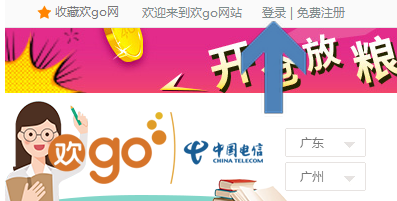 电信网上营业厅可以打印发票吗？