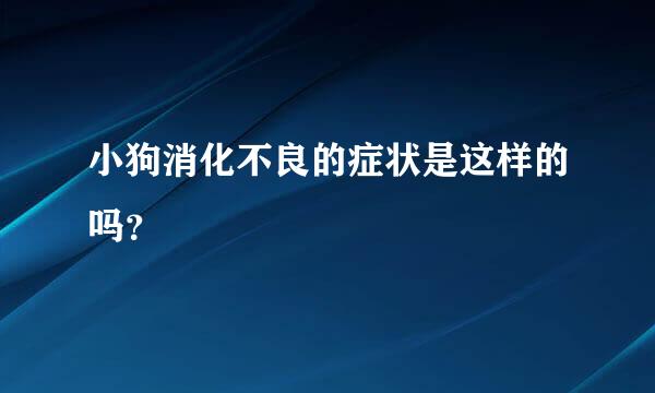 小狗消化不良的症状是这样的吗？