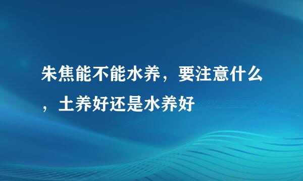 朱焦能不能水养，要注意什么，土养好还是水养好