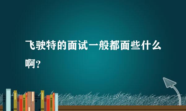 飞驶特的面试一般都面些什么啊？