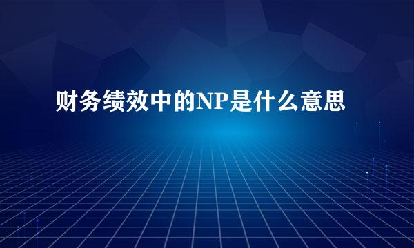 财务绩效中的NP是什么意思