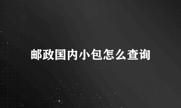 邮政国内小包怎么查询