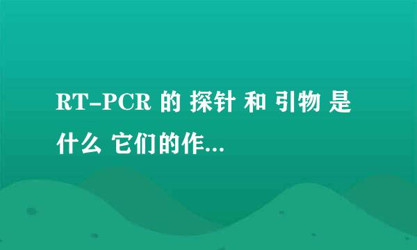 RT-PCR 的 探针 和 引物 是什么 它们的作用是什么啊？？