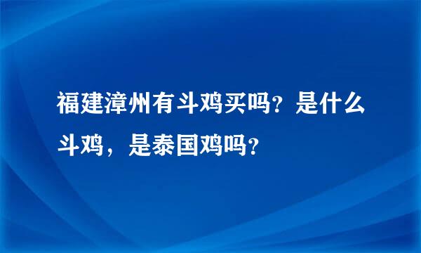 福建漳州有斗鸡买吗？是什么斗鸡，是泰国鸡吗？