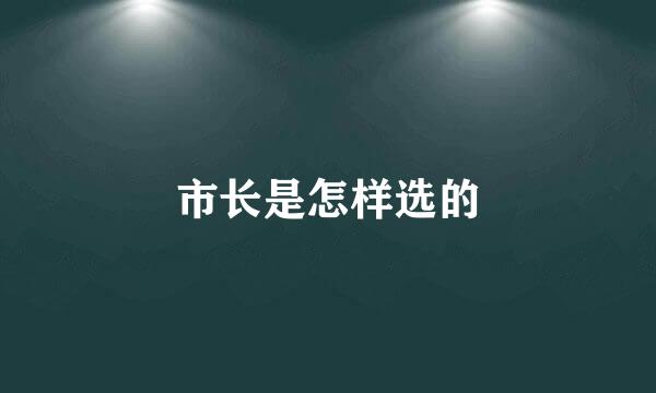 市长是怎样选的