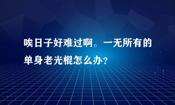 唉日子好难过啊。一无所有的单身老光棍怎么办？