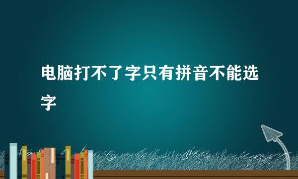 电脑打不了字只有拼音不能选字