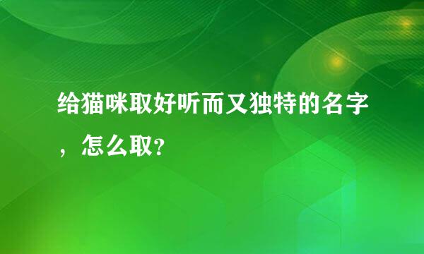 给猫咪取好听而又独特的名字，怎么取？