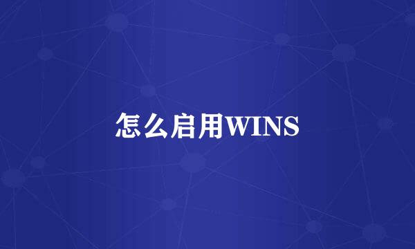 怎么启用WINS