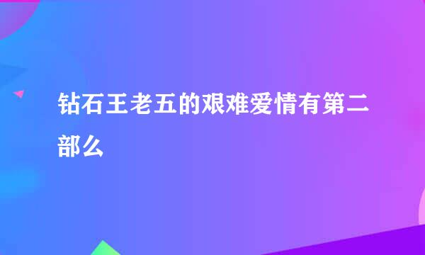 钻石王老五的艰难爱情有第二部么