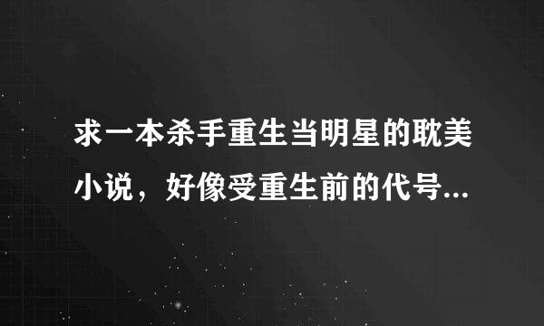 求一本杀手重生当明星的耽美小说，好像受重生前的代号叫银狐来着。