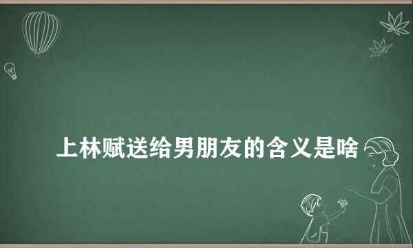 
上林赋送给男朋友的含义是啥
