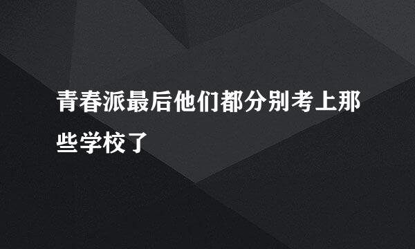 青春派最后他们都分别考上那些学校了