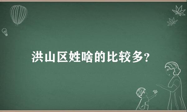 洪山区姓啥的比较多？