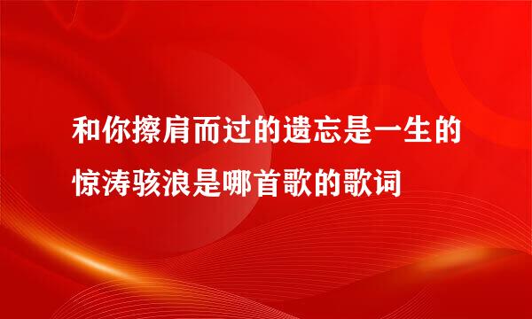 和你擦肩而过的遗忘是一生的惊涛骇浪是哪首歌的歌词