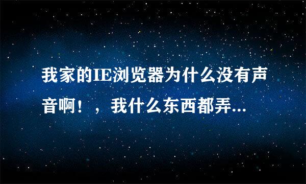 我家的IE浏览器为什么没有声音啊！，我什么东西都弄过了还是没声！