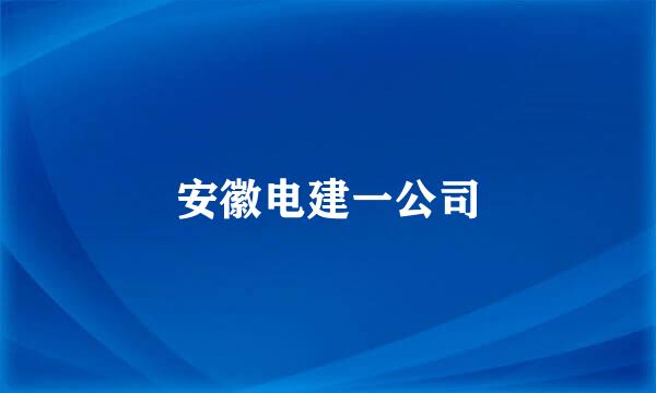 安徽电建一公司