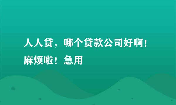 人人贷，哪个贷款公司好啊！麻烦啦！急用