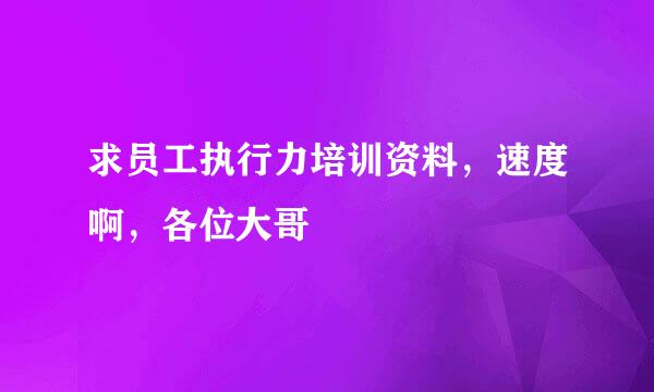 求员工执行力培训资料，速度啊，各位大哥