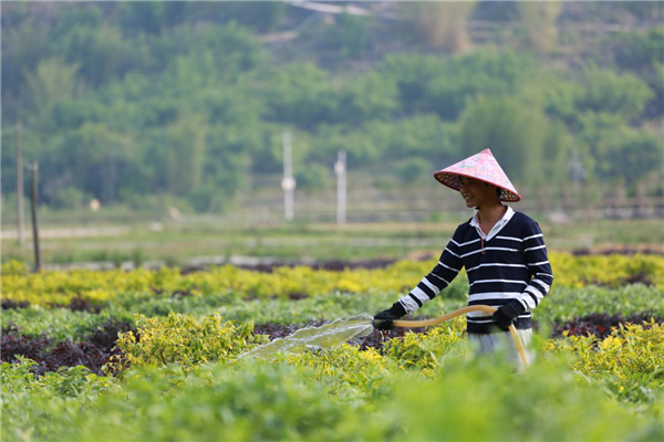 年轻小伙克服困难，由城市到乡下扶贫，是什么力量支撑他这么做？