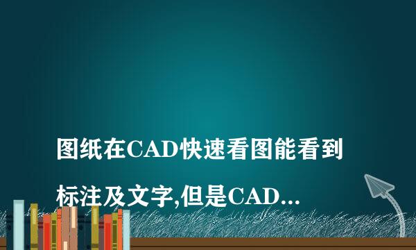 
图纸在CAD快速看图能看到标注及文字,但是CAD打开看不见是怎么回事
