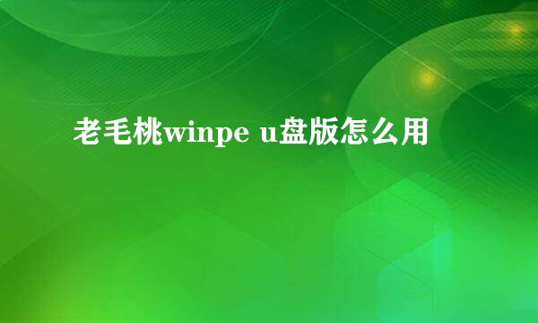 老毛桃winpe u盘版怎么用