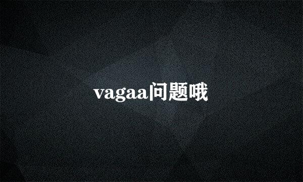 vagaa问题哦