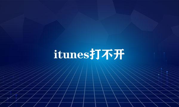 itunes打不开