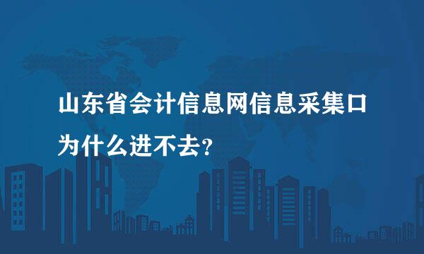 山东省会计信息网信息采集口为什么进不去？