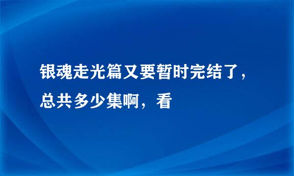 银魂走光篇又要暂时完结了，总共多少集啊，看