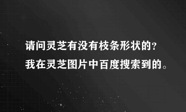 请问灵芝有没有枝条形状的？我在灵芝图片中百度搜索到的。