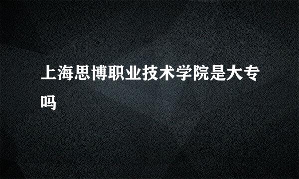 上海思博职业技术学院是大专吗