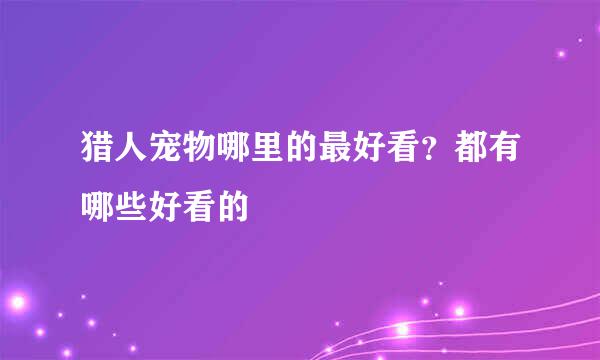 猎人宠物哪里的最好看？都有哪些好看的