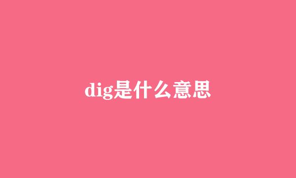 dig是什么意思